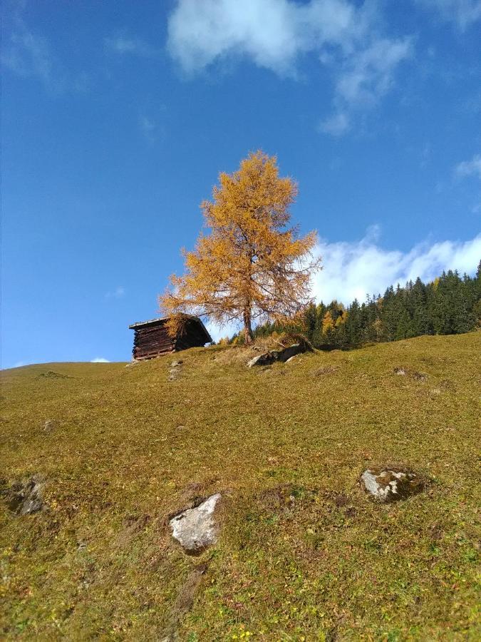 Ferienwohnung Felix-Adults Only Neustift im Stubaital Exterior photo